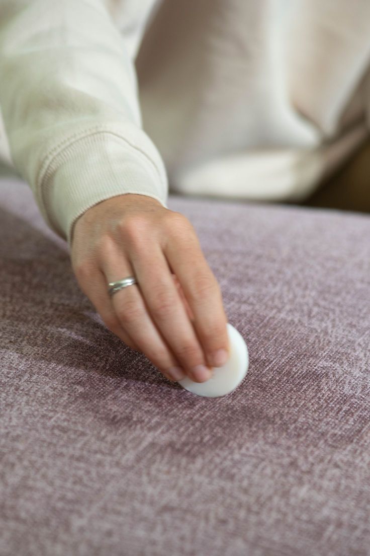 Fabrics: Getting Pet Hair and Food Odors Out of Fabric Sofas