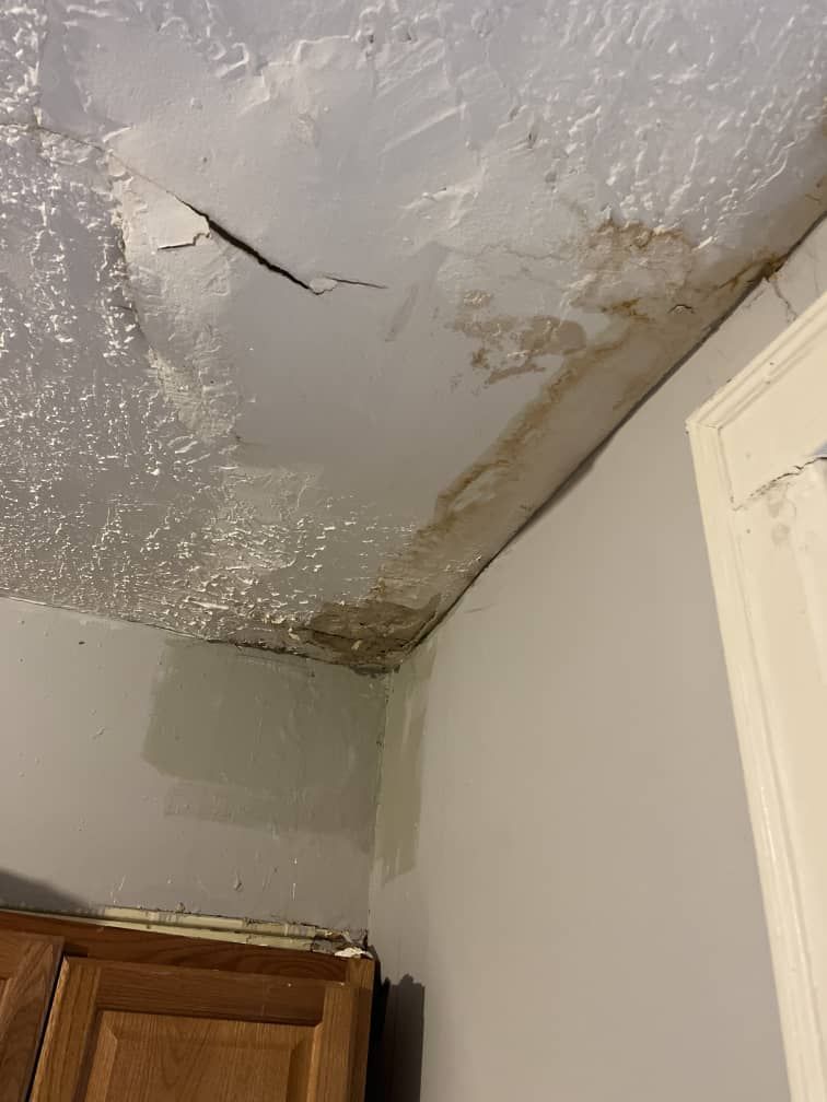 Monsoon Season Care: How to Prevent Household Mold & Mildew During Heavy Rain Months